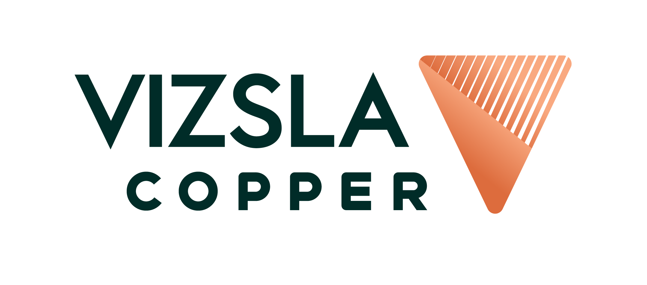 Vizsla Copper Corp.